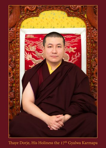 Offizielles Foto - Thaye Dorje, Seine Heiligkeit der 17. Gyalwa Karmapa
